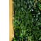 20" x 40" Framed Hawaiian Islands Artificial Living Wall Art Panel